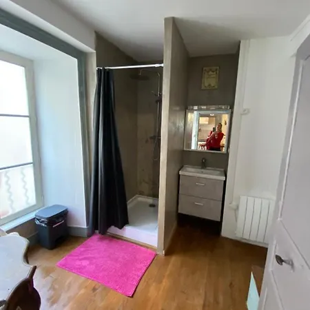 Au Coeur Des Volcans D Auvergne Apartamento *