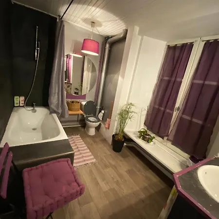 Au Coeur Des Volcans D Auvergne Apartment Murat (Cantal)