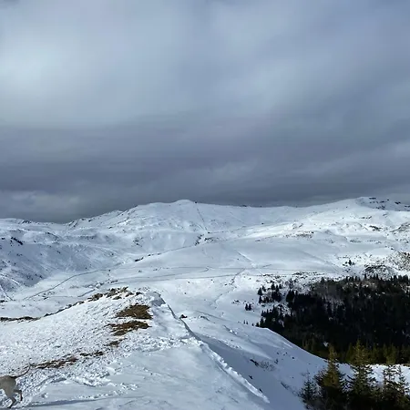 Au Coeur Des Volcans D Auvergne *