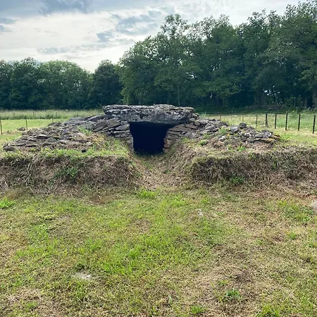 Au Coeur Des Volcans D Auvergne *
