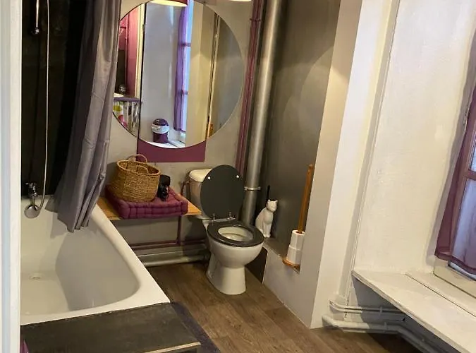 Appartement Au Cœur Des Volcans D Auvergne