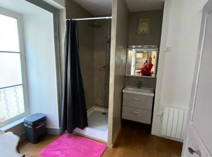 Au Cœur Des Volcans D Auvergne Appartement *