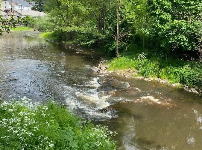 Appartement Au Cœur Des Volcans D Auvergne