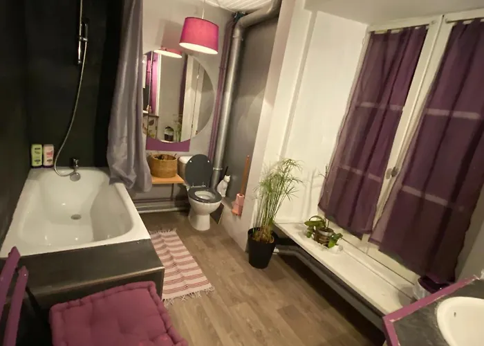 Au Cœur Des Volcans D Auvergne Appartement Murat (Cantal)