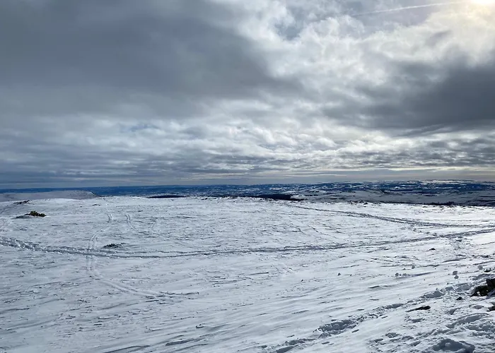Au Cœur Des Volcans D Auvergne Murat (Cantal)