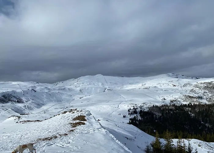 Au Cœur Des Volcans D Auvergne *