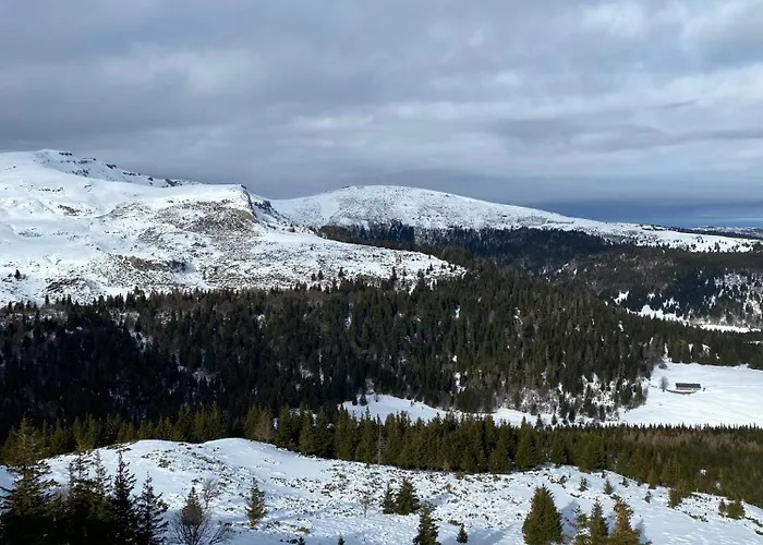 Appartement Au Cœur Des Volcans D Auvergne Murat (Cantal)