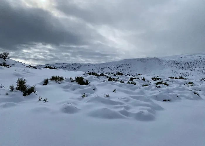 Au Cœur Des Volcans D Auvergne Appartement