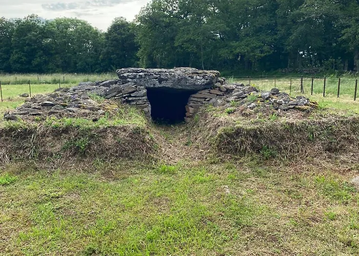 Au Cœur Des Volcans D Auvergne *