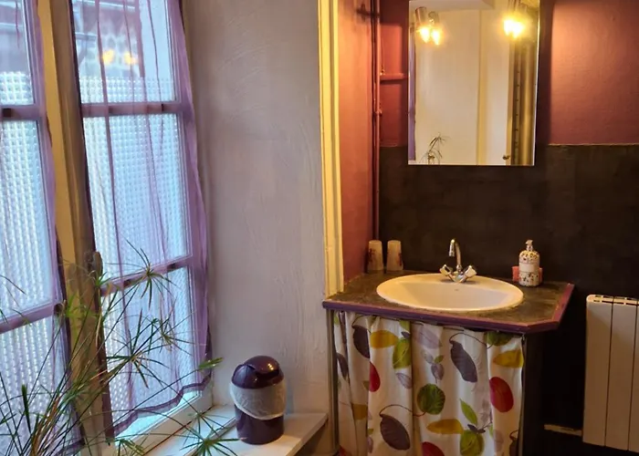 Au Cœur Des Volcans D Auvergne *