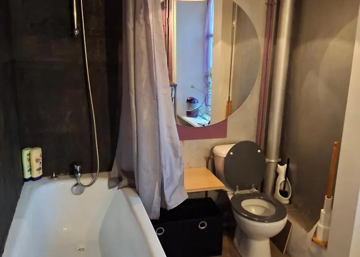 Appartement Au Cœur Des Volcans D Auvergne *